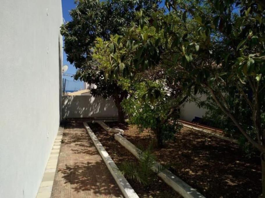 Villa Senhorial - Palace XIX & Privacy & Beach & Albufeira Old Town エクステリア 写真